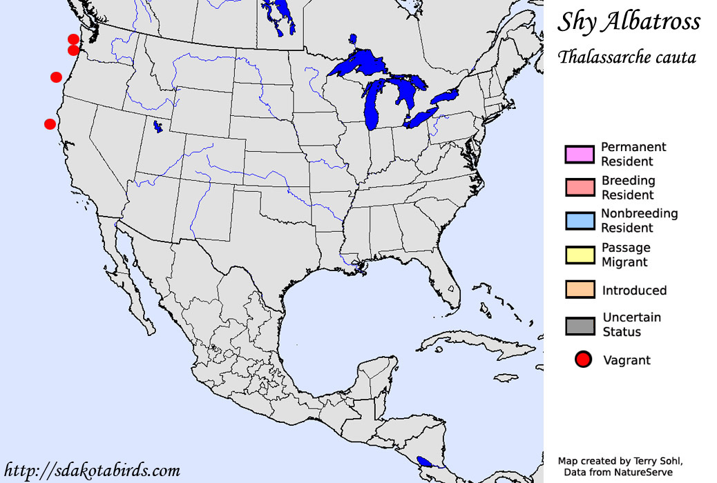Shy Albatross - North American Range Map