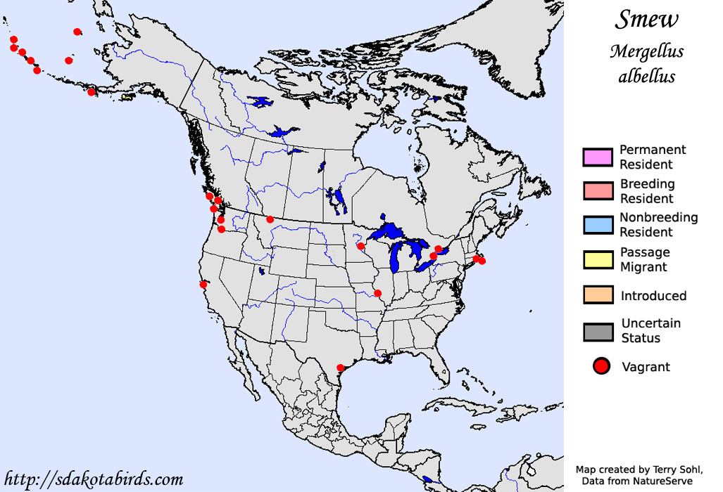 Smew - North American Range Map