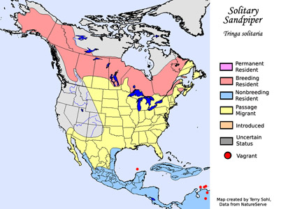 Solitary Sandpiper - Range Map
