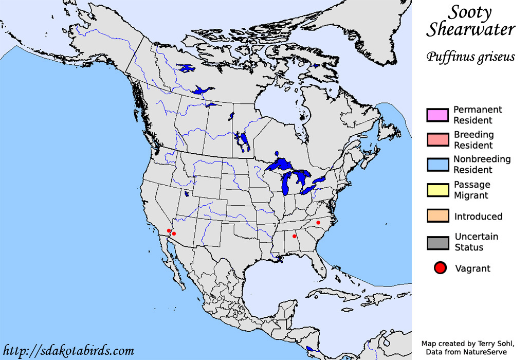 Sooty Shearwater - North American Range Map