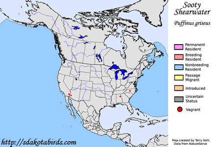Sooty Shearwater - Range Map