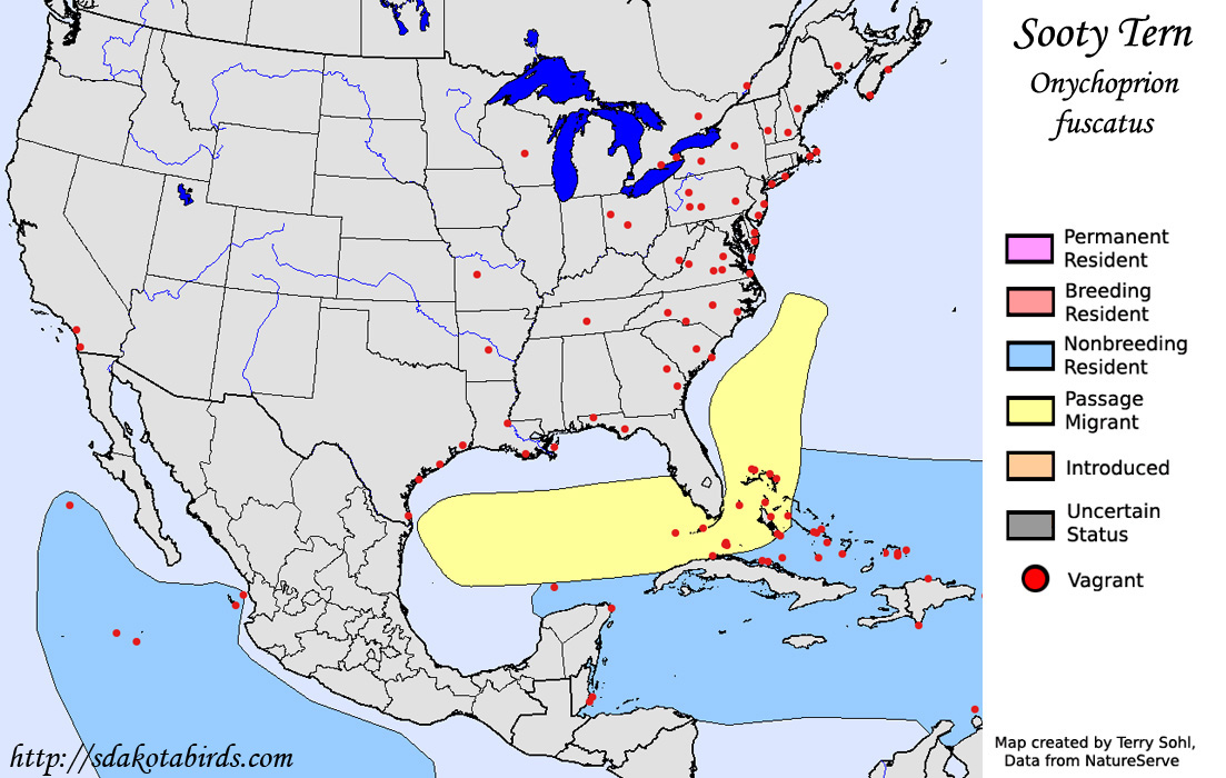 Sooty Tern - North American Range Map