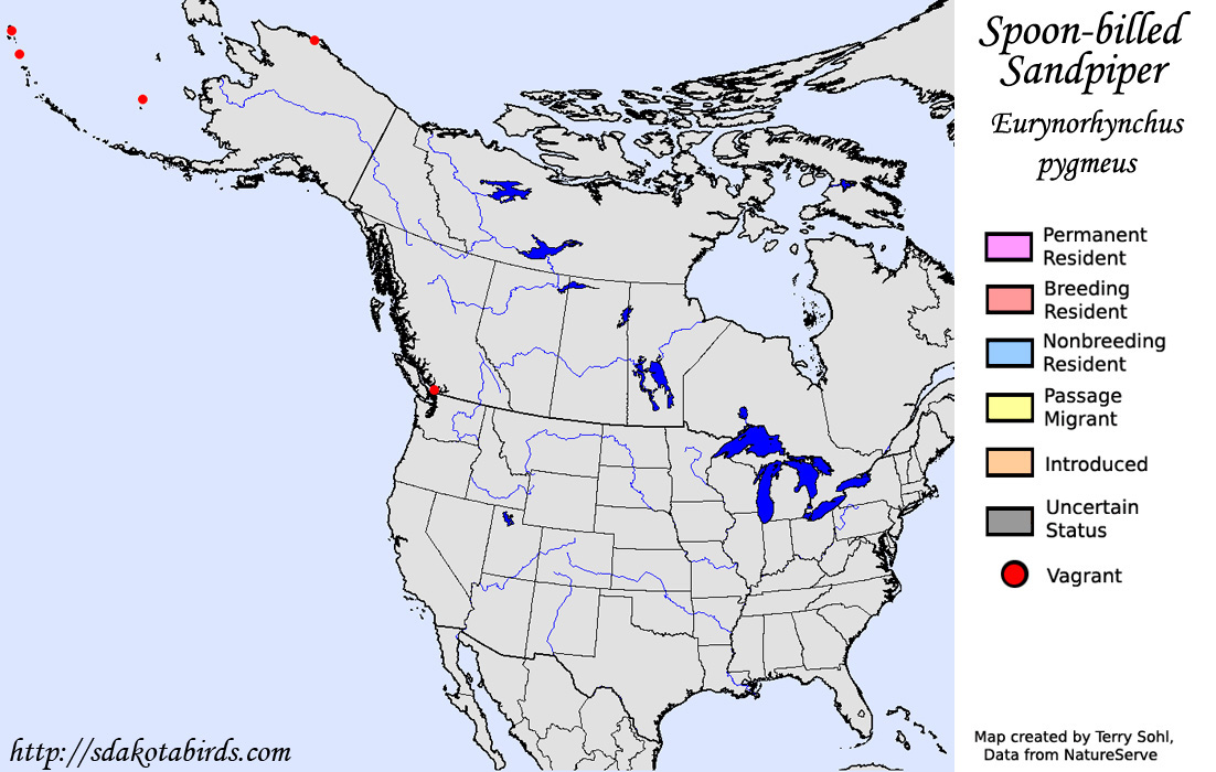 Spoon-billed Sandpiper - North American Range Map