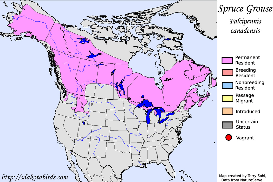 Spruce Grouse - North American Range Map