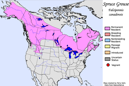 Spruce Grouse - Range Map