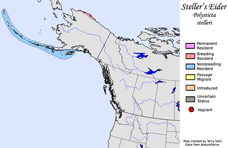 Steller's Eider - North American Range Map