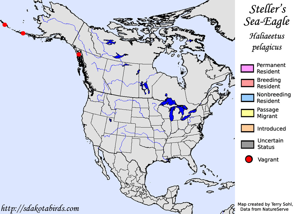 Steller's Sea-Eagle - North American Range Map