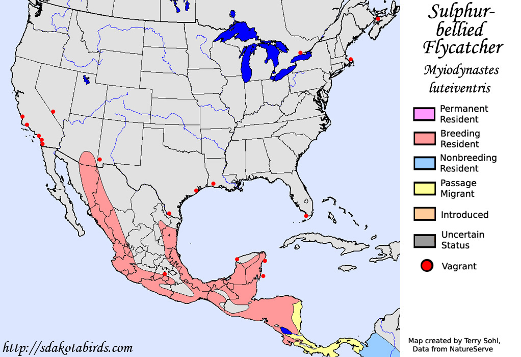 Sulphur-bellied Flycatcher - North American Range Map
