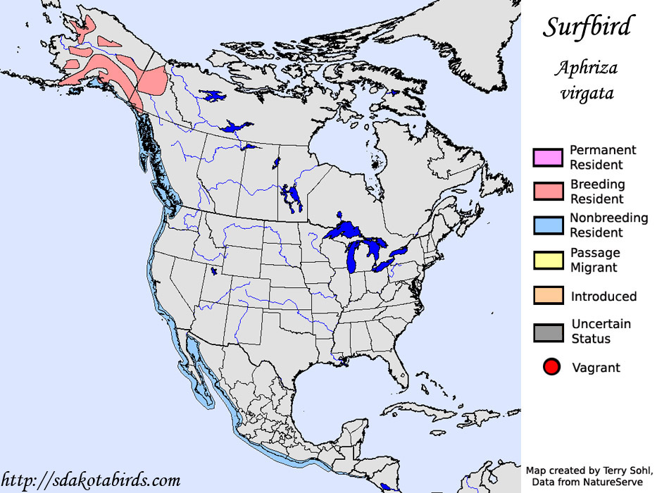 Surfbird - North American Range Map