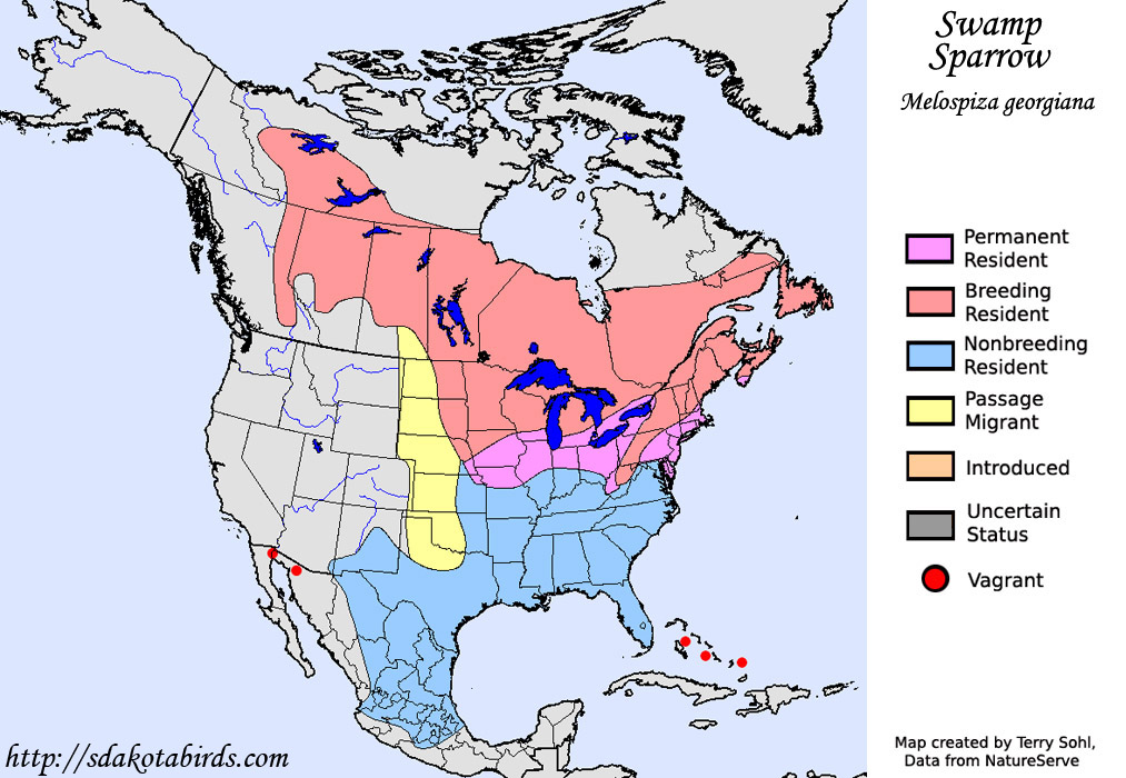 Swamp Sparrow - North American Range Map