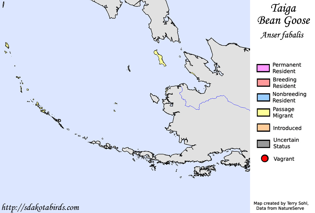 Taiga Bean Goose - North American Range Map
