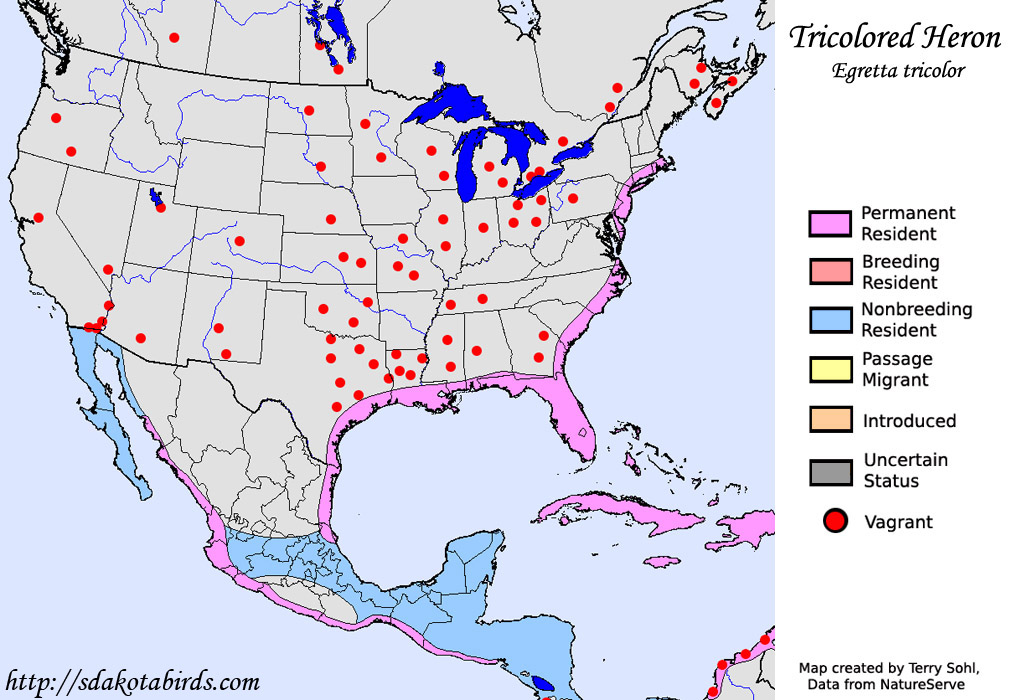 Tricolored Heron - Range map
