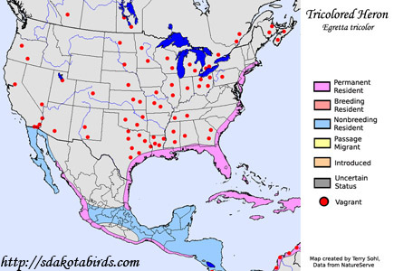 Tricolored Heron - Range Map