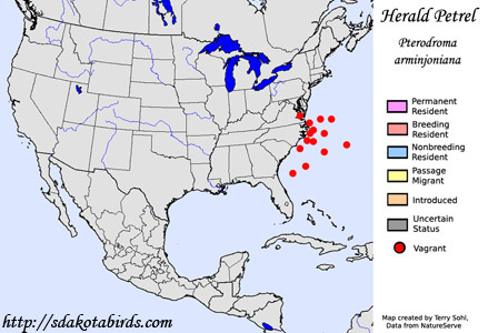 Herald Petrel - Range Map