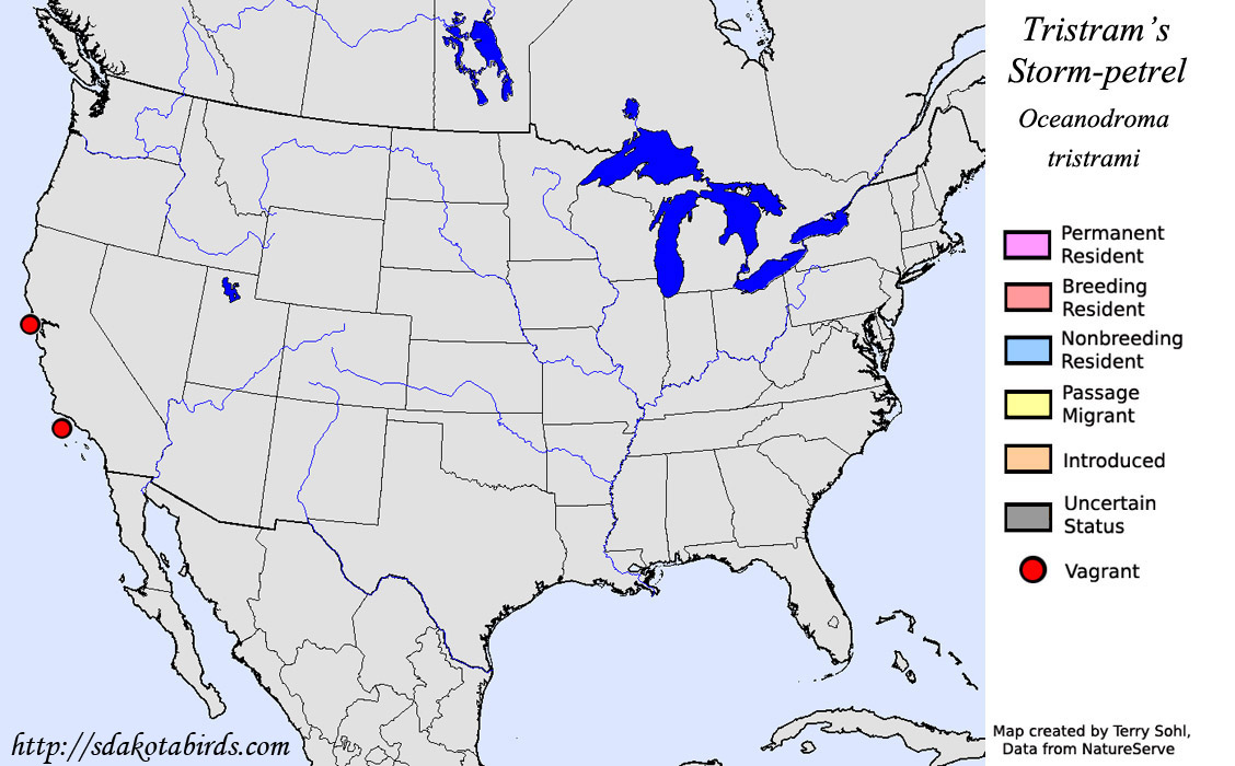 Tristram's Storm-Petrel - North American Range Map