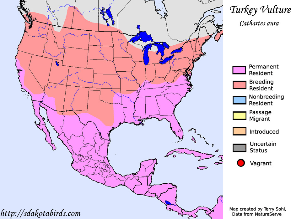 Turkey Vulture - range Map