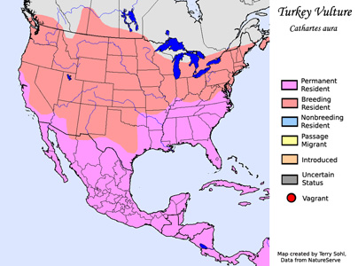 Turkey Vulture - Range Map