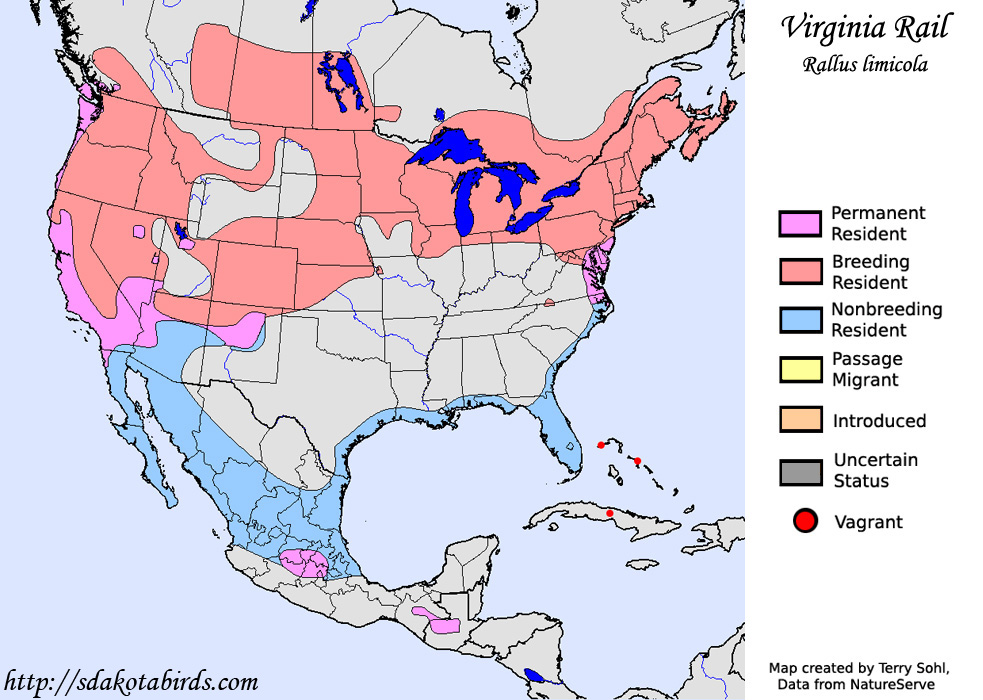 Virginia Rail - Range Map