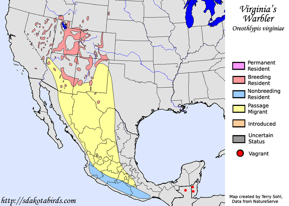Virginia's Warbler - North American Range Map