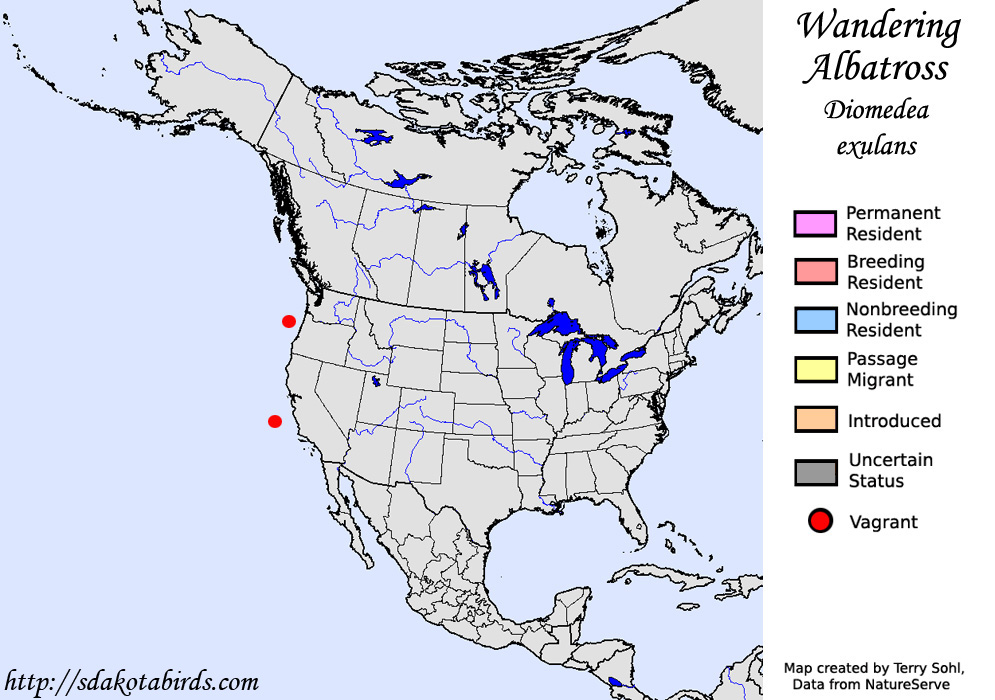 Wandering Albatross - North American Range Map