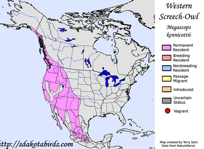 Western Screech-Owl - Range Map