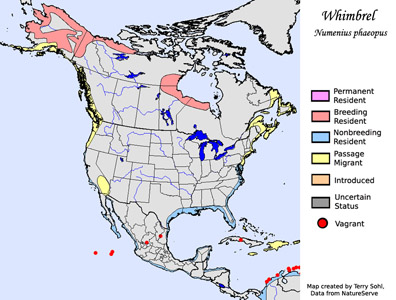 Whimbrel - Range Map