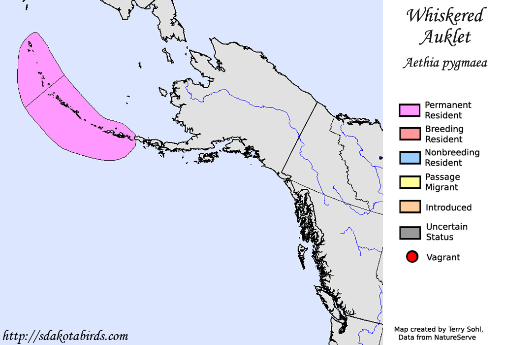 Whiskered Auklet - North American Range Map