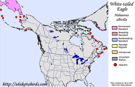 White-tailed Eagle - Range Map