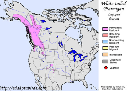 White-tailed Ptarmigan - Range Map