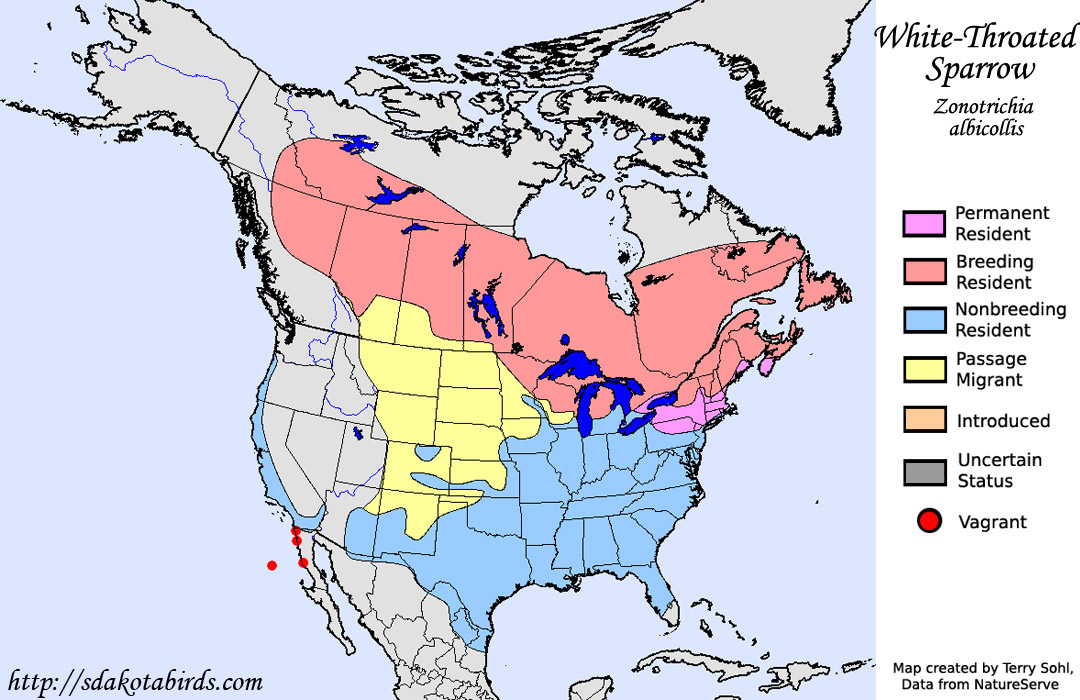 White-throated Sparrow - North American range Map