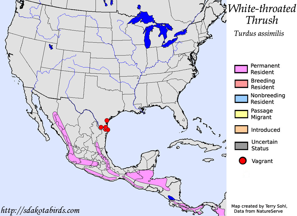 White-throated Thrush - North American Range Map