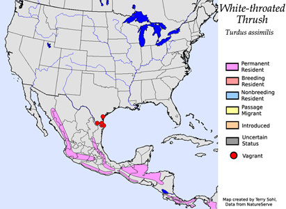 White-throated Thrush - Range Map