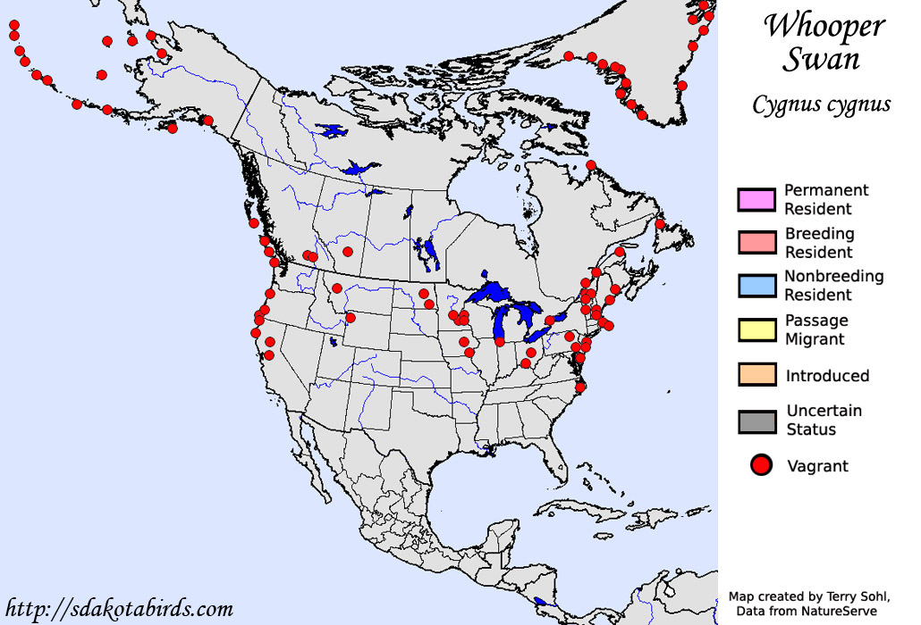 Whooper Swan - North American Range Map