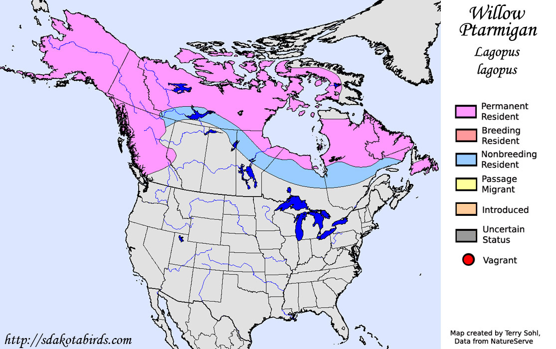 Willow Ptarmigan - North American Range Map