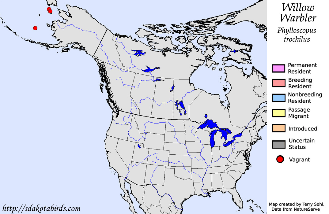 Willow Warbler - North American Range Map