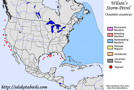 Wilson's Storm-Petrel - Range Map