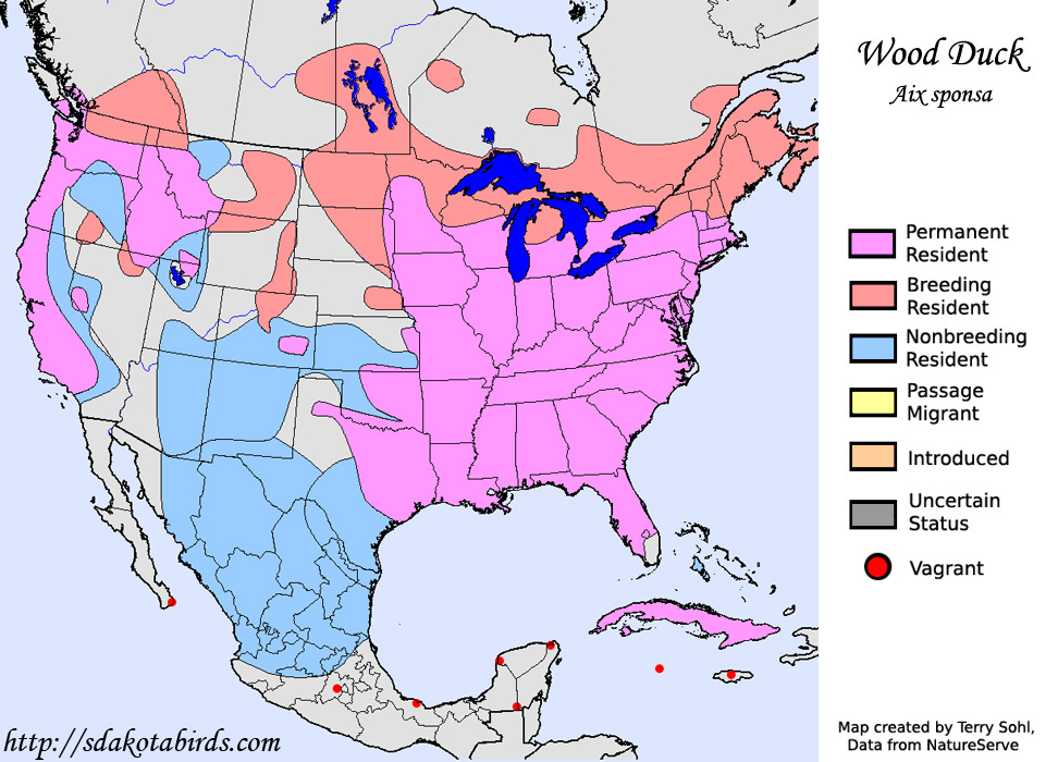 Wood Duck - Range Map