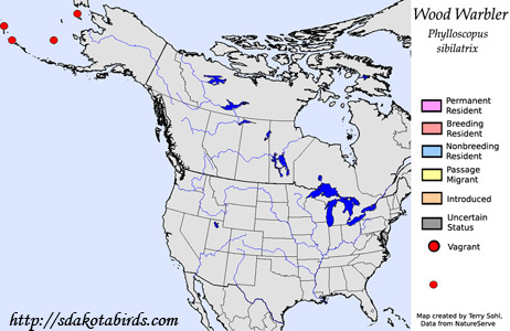 Wood Warbler - Range Map