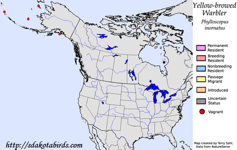 Yellow-browed Warbler - Range Map