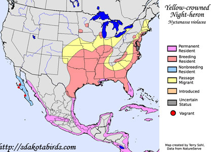 Yellow-crowned Night-heron - Range Map