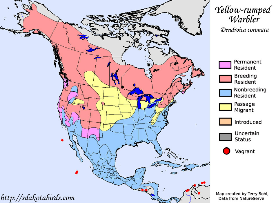Yellow-rumped Warbler - Range Map