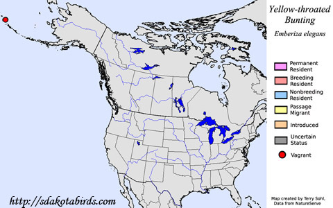 Yellow-throated Bunting - Range Map