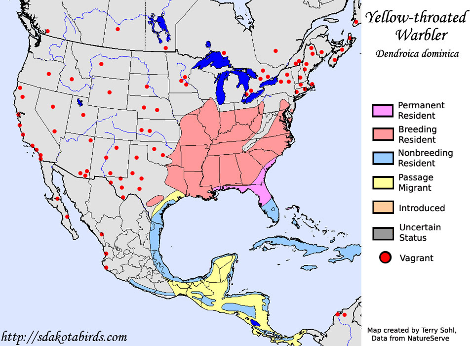 Yellow-throated Warbler - Range map