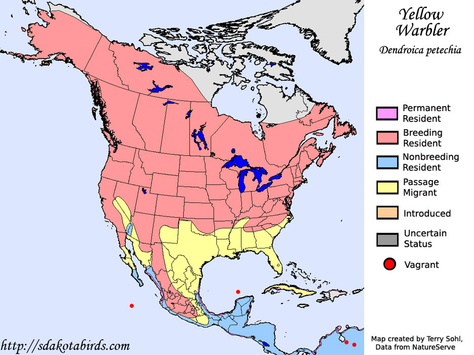 Yellow Warbler Species Range Map