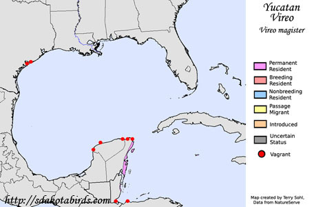 Yucatan Vireo - Range Map