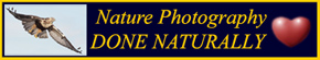 Nature Photography - Done Naturally! Click for Info
