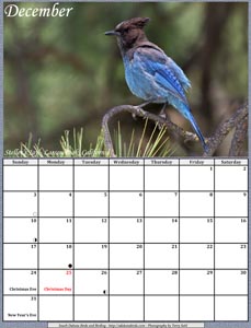 Free 2017 Bird Photo Calendar by Terry Sohl