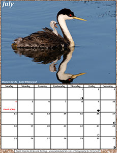 July 2021 Calendar - South Dakota Birds and Birding