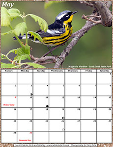 May 2021 Calendar - South Dakota Birds and Birding
