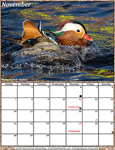 November 2021 Calendar - South Dakota Birds and Birding